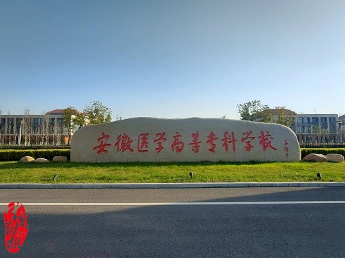 中南藥機(jī)︰安徽醫(yī)學(xué)高等?？茖W(xué)校 “1+X”藥物制劑生產(chǎn)職業(yè)技能設(shè)備安裝調(diào)試